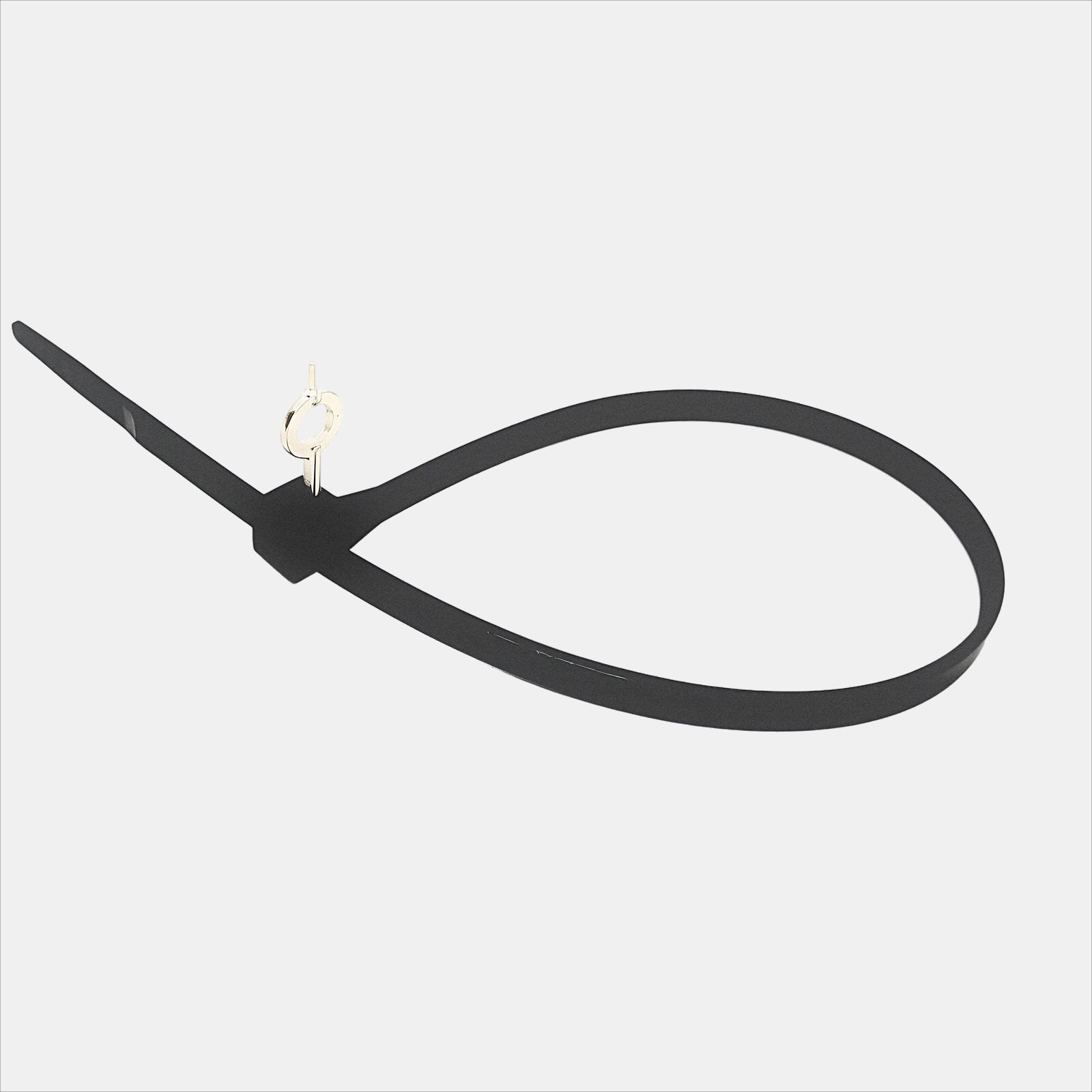 Brida policial reutilizable con llave - TCH