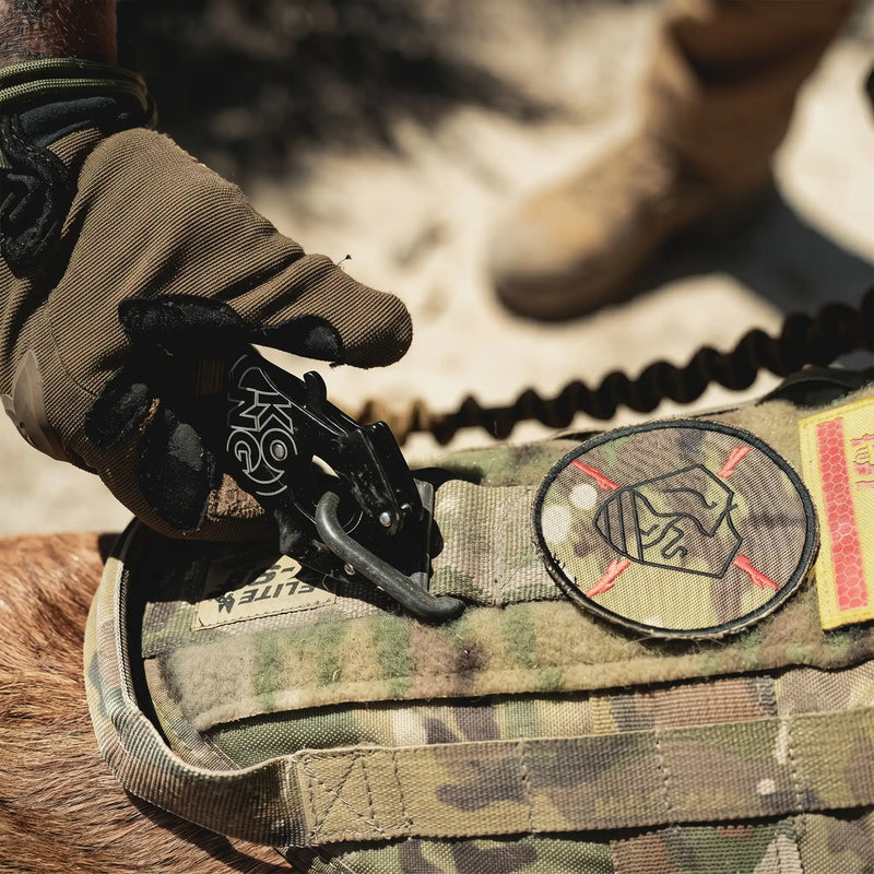 Verbindungsmittel Frog Tango Lanyard - Bulltac